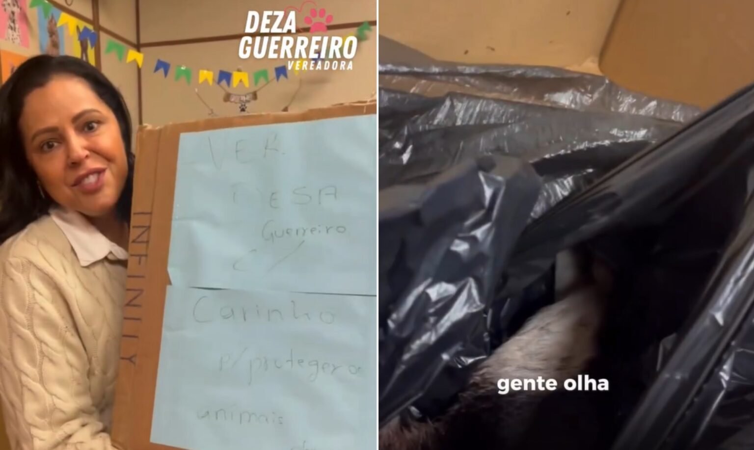 Vereadora de Novo Hamburgo recebe caixa com cachorro morto e denuncia ameaça
