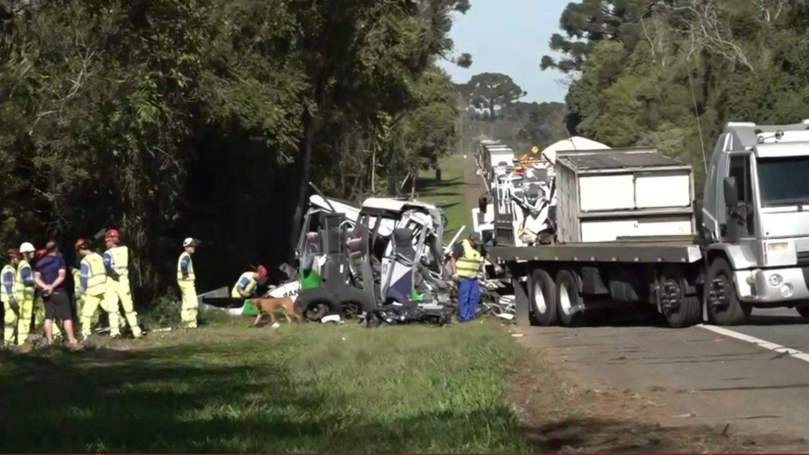 Caminhão invade pista e colisão com micro-ônibus deixa 23 mortos na BR-373, no Paraná - Imagem do artigo