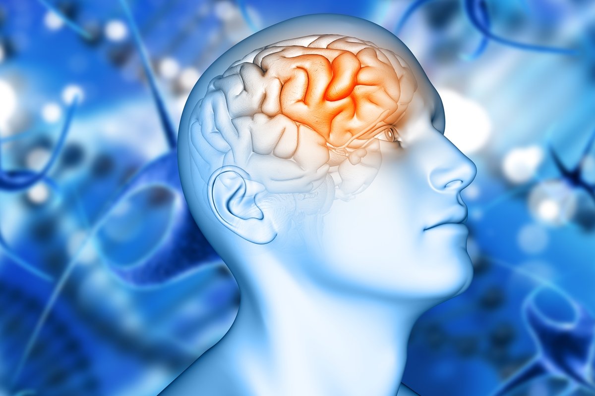 Diagnóstico precoce de Alzheimer retarda avanço da doença e dá tempo para planejar cuidados - Imagem do artigo original